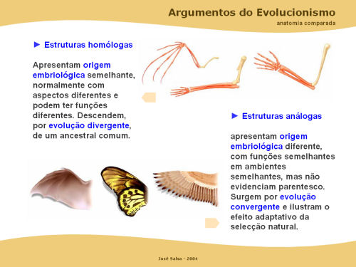 Tipos De Evolução